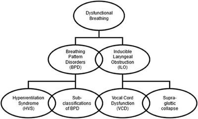 Frontiers | Pediatric Dysfunctional Breathing: Proposed Components ...